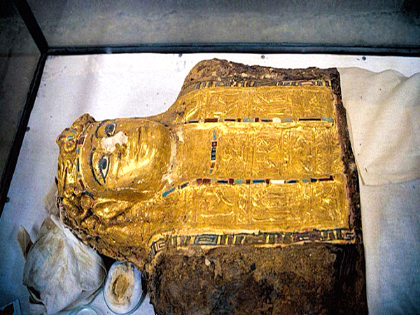 Egypt Cairo, Oasis & Luxor Tours