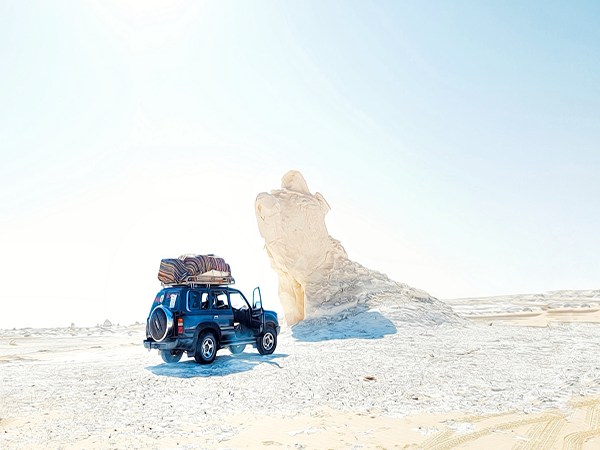 Egypt Cairo - Oasis & White Desert Tour