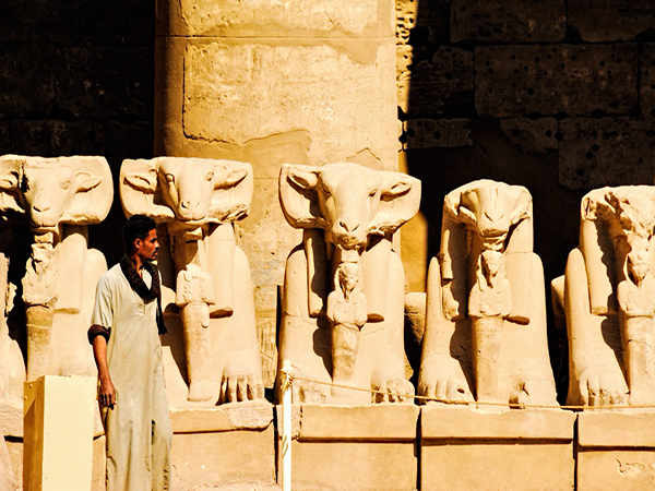 Egypt Tour Package - Cairo Luxor and Aswan