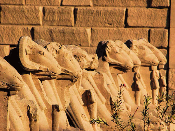 Full Day tour in Luxor and famous sightseeing tours excursions